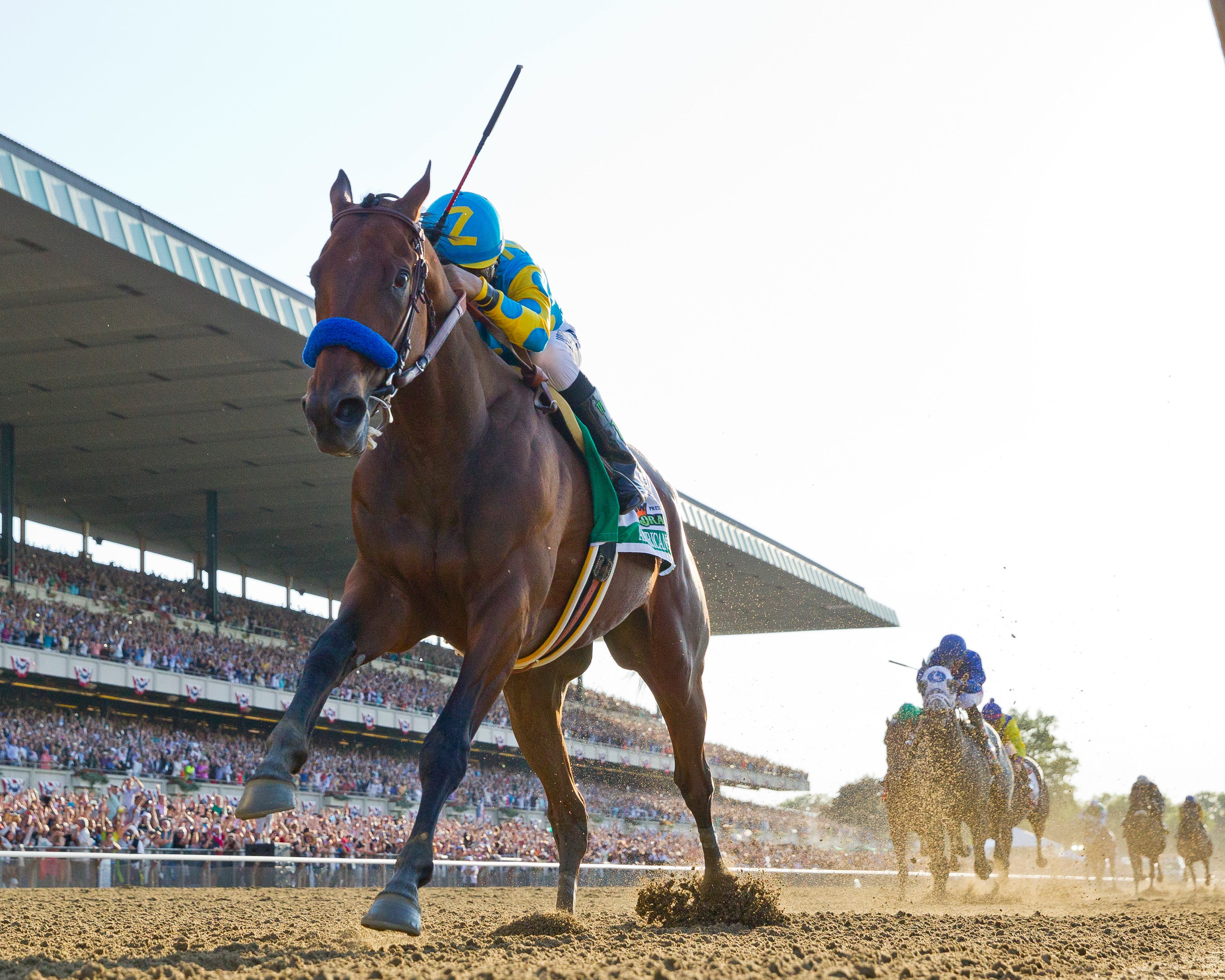 Privman's Belmont Stakes analysis